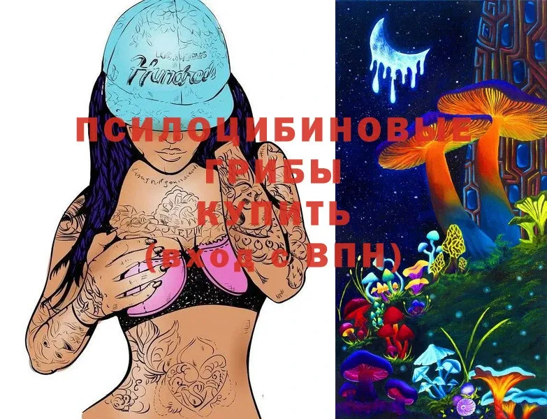 OMG ССЫЛКА  Вытегра  Галлюциногенные грибы Psilocybine cubensis 